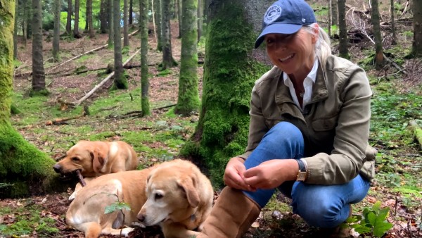 This week: Expeditions