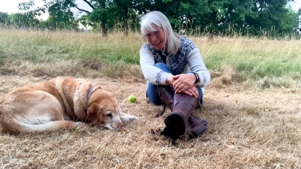 This week: Nordic Heritage